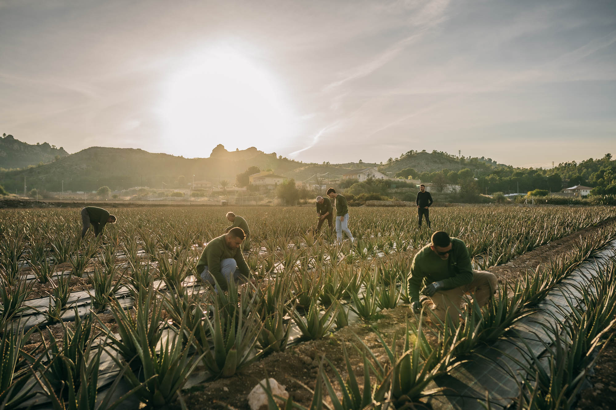 Instalaciones de Nankurunaisa
